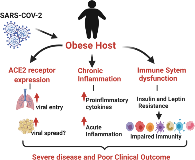 obesity and covid